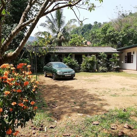 Leaf Guest House 加姆波勒 外观 照片