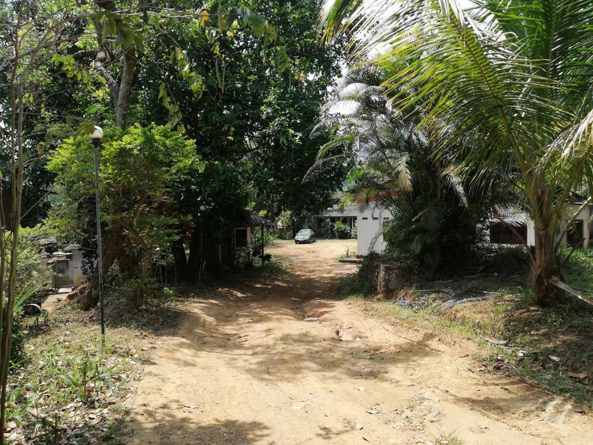 Leaf Guest House 加姆波勒 外观 照片