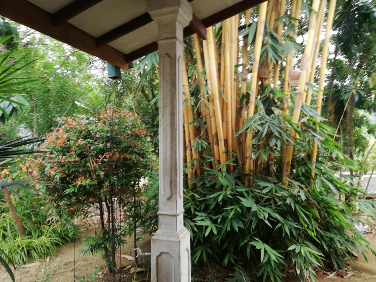 Leaf Guest House 加姆波勒 外观 照片