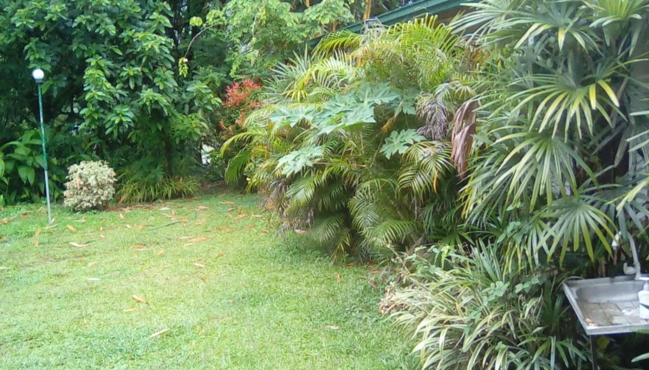 Leaf Guest House 加姆波勒 外观 照片