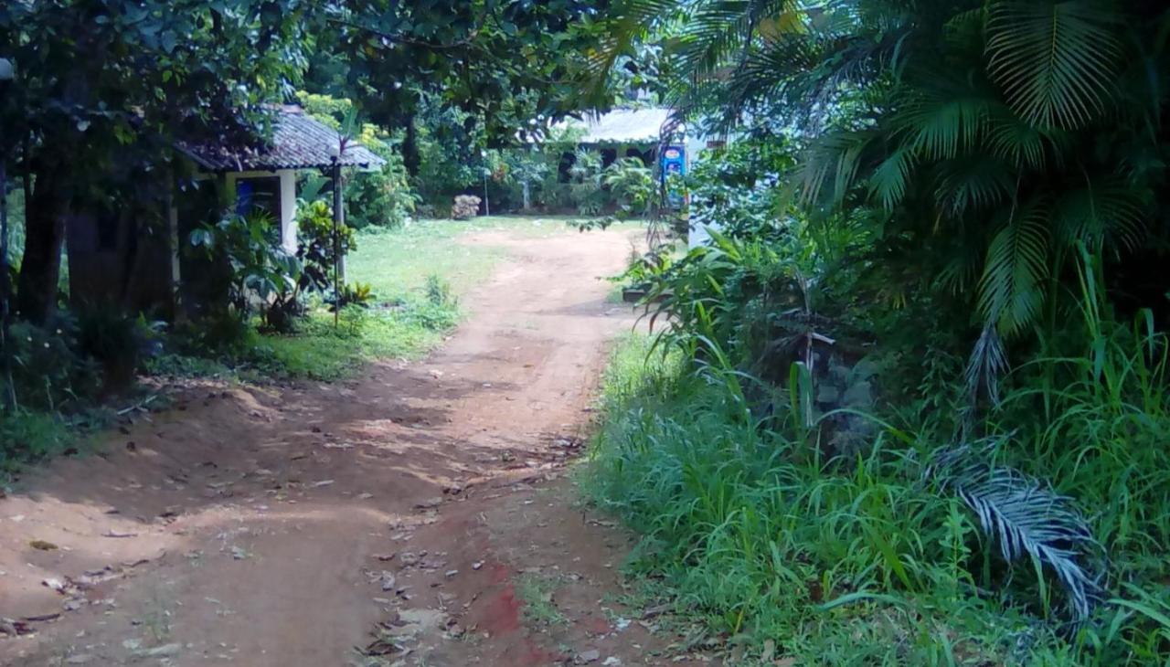 Leaf Guest House 加姆波勒 外观 照片